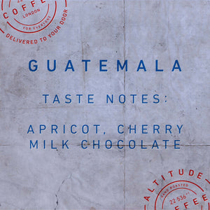 Guatemalan coffee taste notes