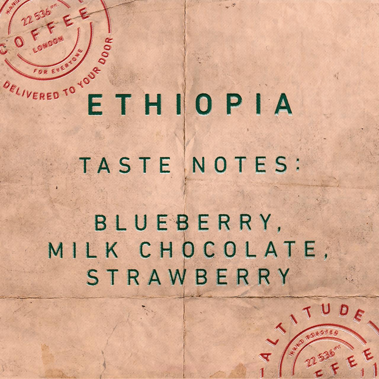 Ethiopia specialty coffee from Kontema
