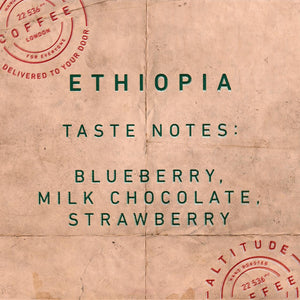 Ethiopian specialty coffee tasting notes